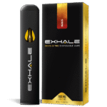 Delta 8 Disposable Vape Pen – Mango