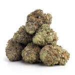 White Widow