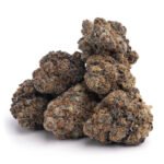 Animal Cookies