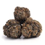 Animal Cookies - Image 2