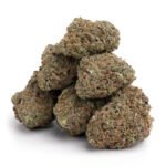 DMT .5ml Purecybin – 300mg DMT