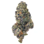 Gas Cake AAA+