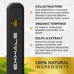 Delta 8 Disposable Vape Pen – Mango - Image 3
