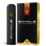Delta 8 Disposable Vape Pen – Mango - Image 2