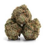 Grease Monkey - Image 2