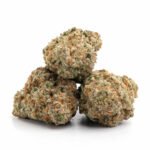 Jamaican Haze - Image 2