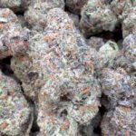 Lemonatti Indoor – Sativa – Wholesale