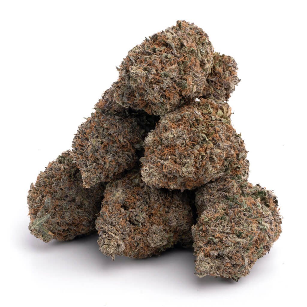 Mataro-Blue-Strain.jpg Mataro Blue - Image 1