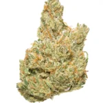 Papaya Nights CBD