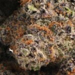 Park Fire OG AAA+ - Image 4