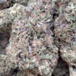 Permanent Marker – Hybrid – Wholesale