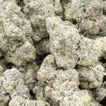 Permanent Runtz Indoor – Hybrid – Wholesale