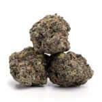 Purple Tangie - Image 2