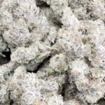 Indoor Exotic Black Magic – Indica – Wholesale