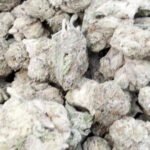 Facetz Mediums – Indica – Wholesale Mediums
