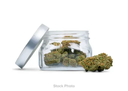 Vineland Venom – Shake 28g