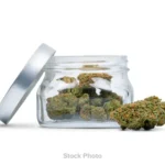 Vineland Venom – Shake 28g