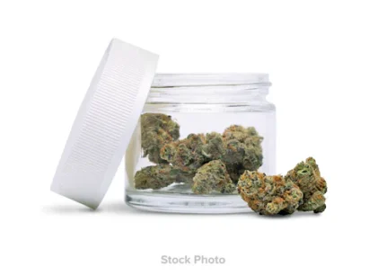 Regina George – Mixed Buds 14g