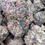 Purple Cookies – Bulk – Hybrid
