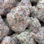 Gelonade Indoor  – Sativa – Wholesale