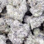 Indoor Exotic White Zkittlez  – Hybrid – Wholesale